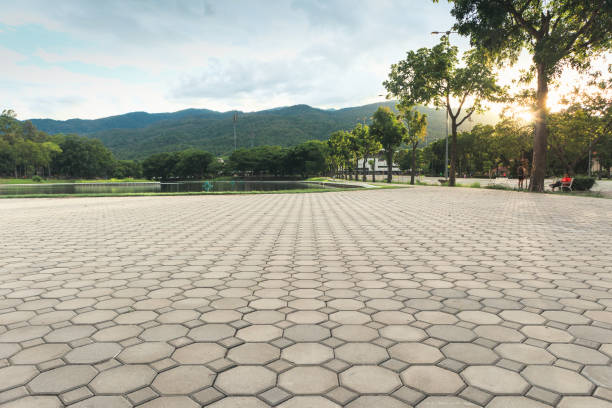 Best Driveway Paving Contractor  in Dyersville, IA